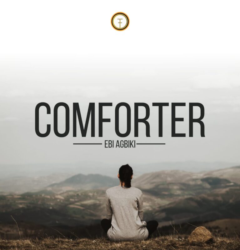 Comforter