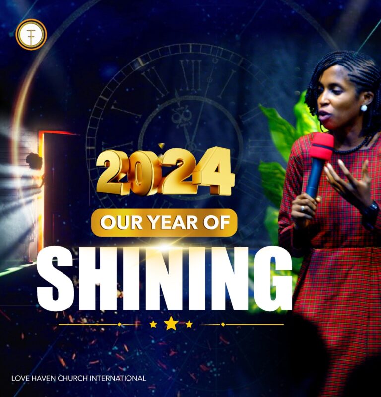 Our Year of Shining